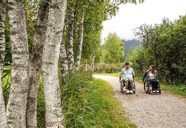 Barrierefreie Wanderung am Wildsee