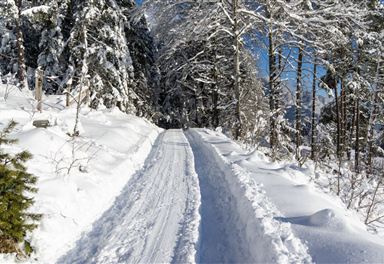 Winter hiking trail near Reith