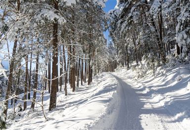 Winter hiking trail Reith Leithen