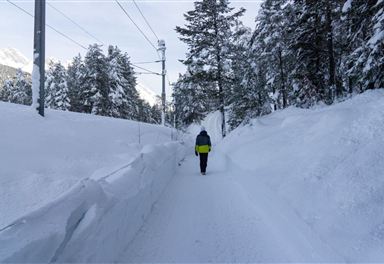 Winter hiking trail W6 to Scharnitz