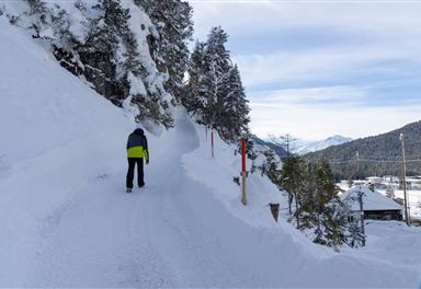 Winter hiking trail to Seefeld