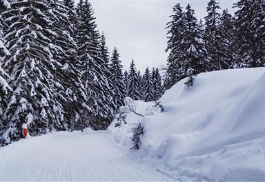 Winter hiking trail to the Katzenkopf