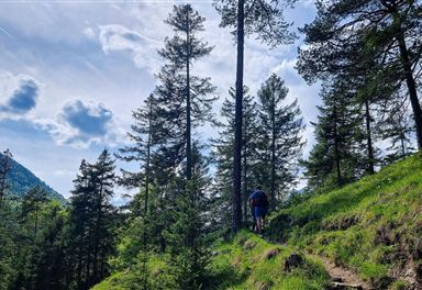 Wanderweg am Karwendelsteg