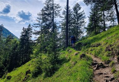 Wanderweg am Karwendelsteg