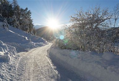 Winter hiking trail Reith-Seefeld