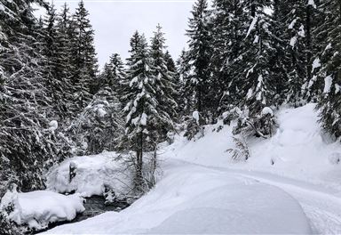 Winter hiking trail near Scharnitz