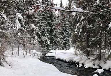 Winter stream near Scharnitz