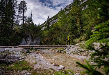 Weg vom Halleranger nach Scharnitz - Karwendel Hoehenweg Etappe 6.jpg
