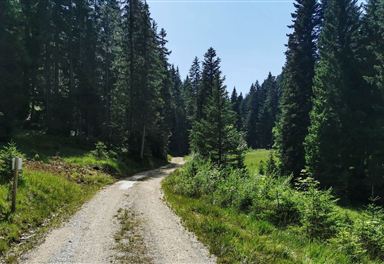 Trail from Neuleutasch to Wildmoos
