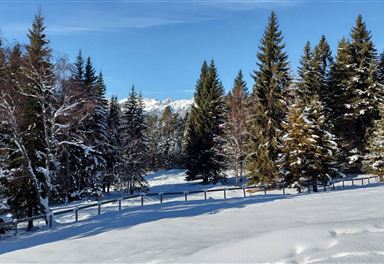 Winter view towards the Reitherjochalm