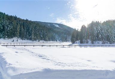 Weidachsee im Winter