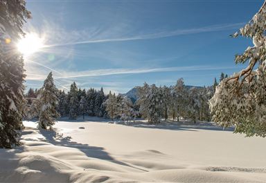 Winter landscape near Leutasch