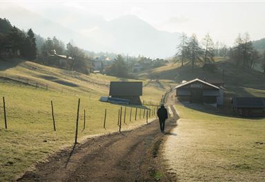 Wiesenweg near Leithen in spring