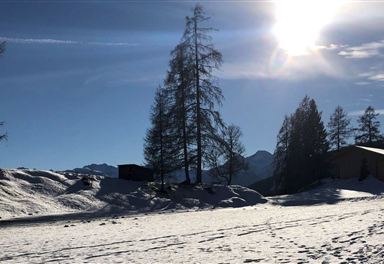 Wintertrail Wiesenwegrunde