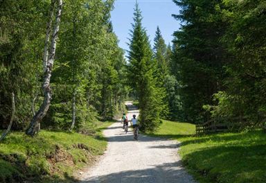 Bike tour Wildmoos-Buchen