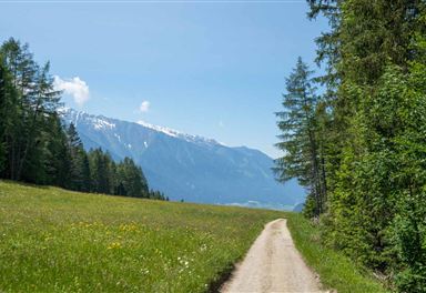 Wildmoos-Buchen hiking trail