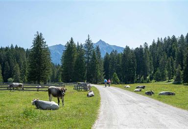 Wildmoos Bike Tour