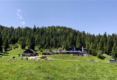 Wildmoosalm in summer