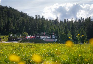 wildmoosalm_im_sommer_-_alm_mit_gruener_wiese_und_blumen_im_vordergrund.jpg