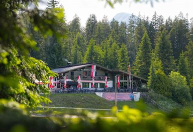 Wildmoosalm im Sommer