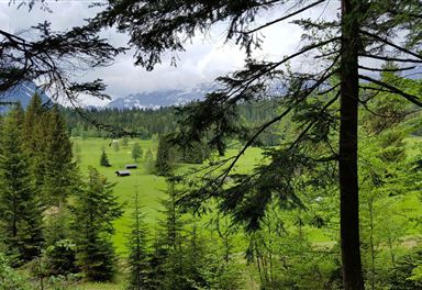 Alpine meadow near Wildmoos