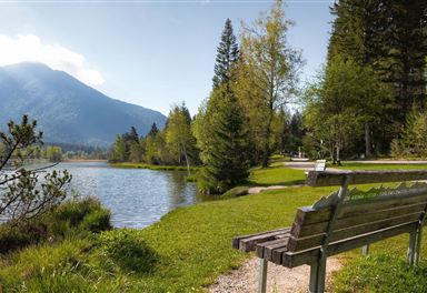 Rastplatz am Wildsee