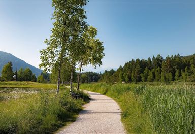 Wanderweg am Wildsee