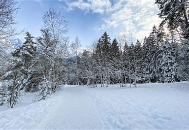 Winterly Wildseepromenade in Seefeld
