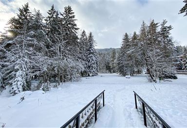 Winterly Wildseepromenade in Seefeld