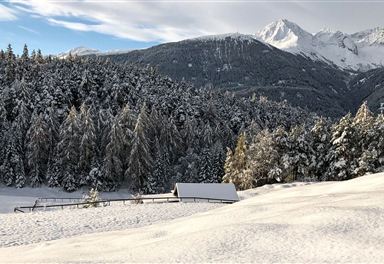 Winterlandschaft in Leithen