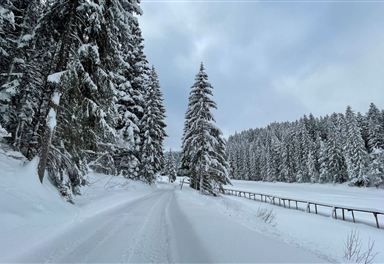Winter hiking trail at Weidachsee
