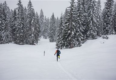 Wintertrailrunning in Seefeld