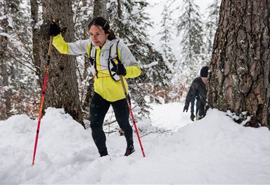 Wintertrailrunning in Seefeld