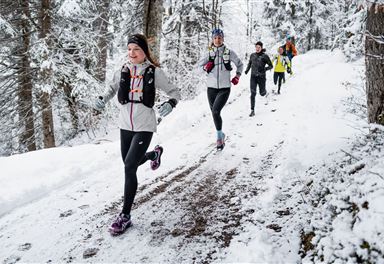 Wintertrailrunning in Seefeld