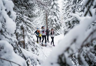 Wintertrailrunning in Seefeld