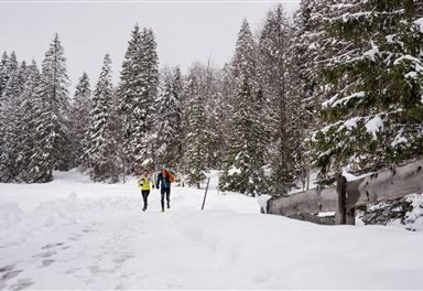 Wintertrailrunning in Seefeld