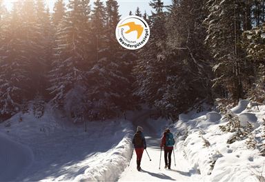 Winter hiking on the Wildmoos Plateau