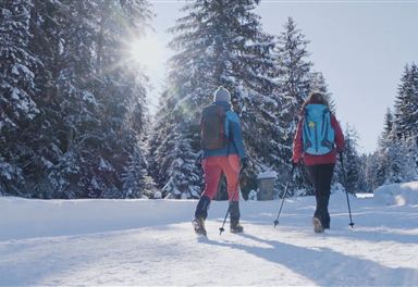 Winter hiking on the Seefeld High Plateau