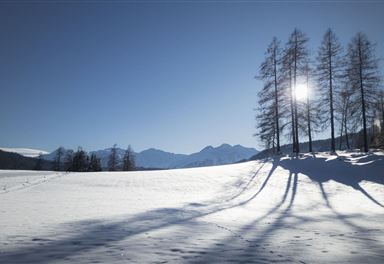 Winterlandschaft am Oberen Wiesenweg