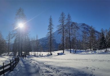 Winterwandern am Oberen Wiesenweg