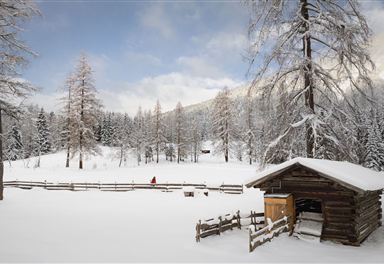 Winter landscape on the Wiesenweg