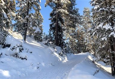 Winterwanderweg am Brunschkopf
