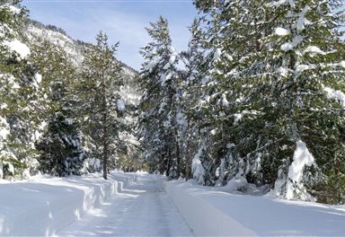 Winter hiking trail Scharnitz - Gießenbach