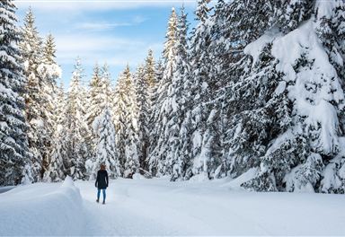 Winter hiking trail to Triendlsäge