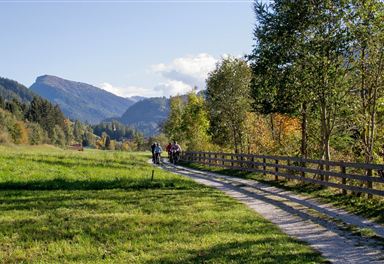 wipptal-radweg_steinach_herbst-2018c-helena-beermeister_1.jpg
