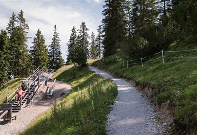 Zirbenweg near the Rosshütte
