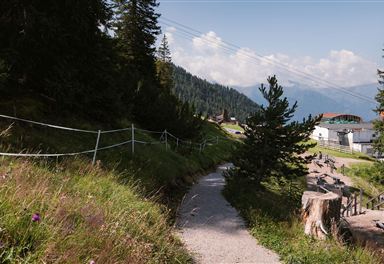 Zirbenweg near the Rosshütte