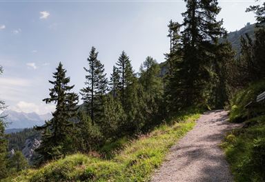 Zirbenweg near the Rosshütte
