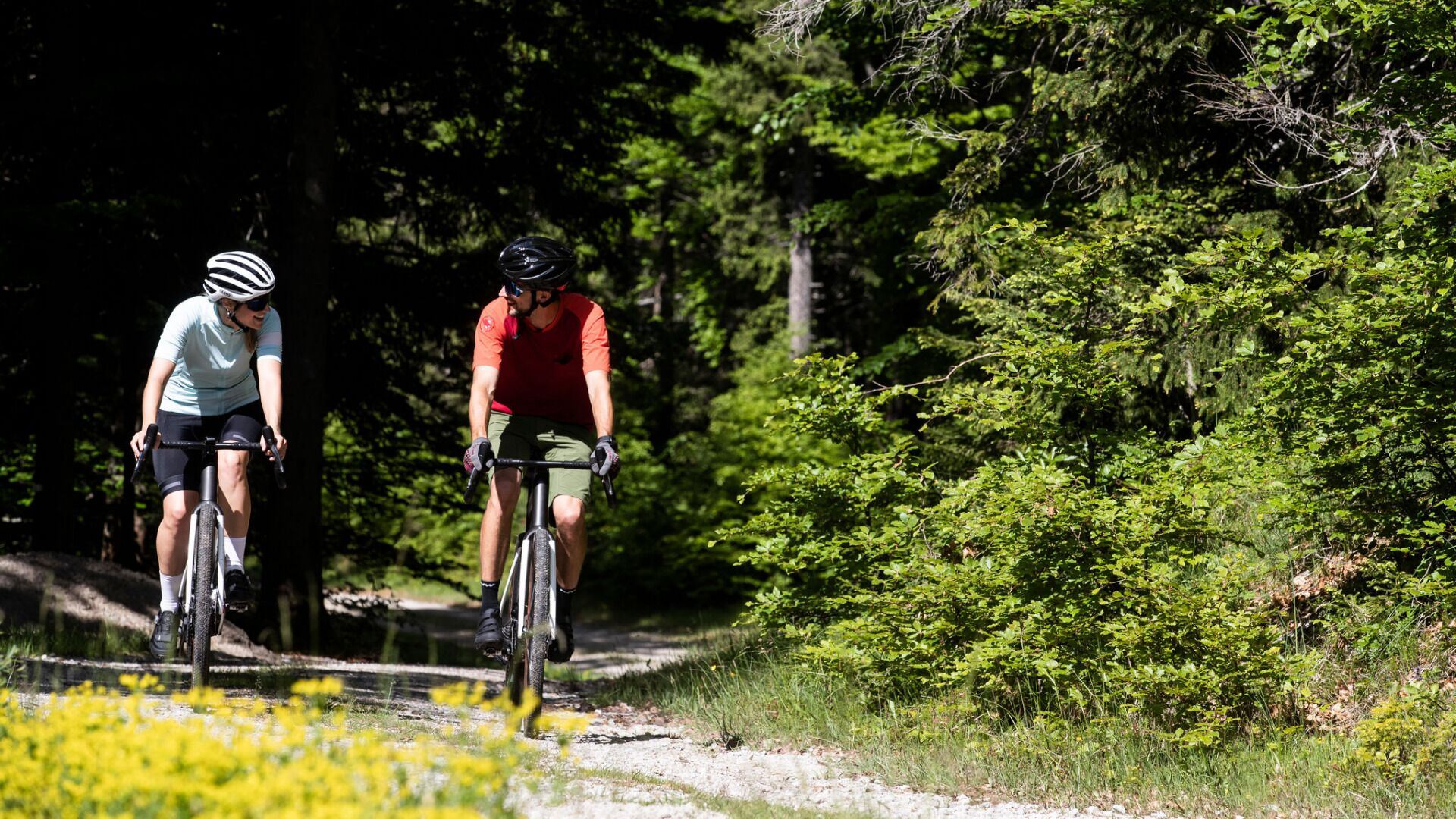 Biketour Nr. 544 Mösern–Wildmoos rund um den Brunschkopf