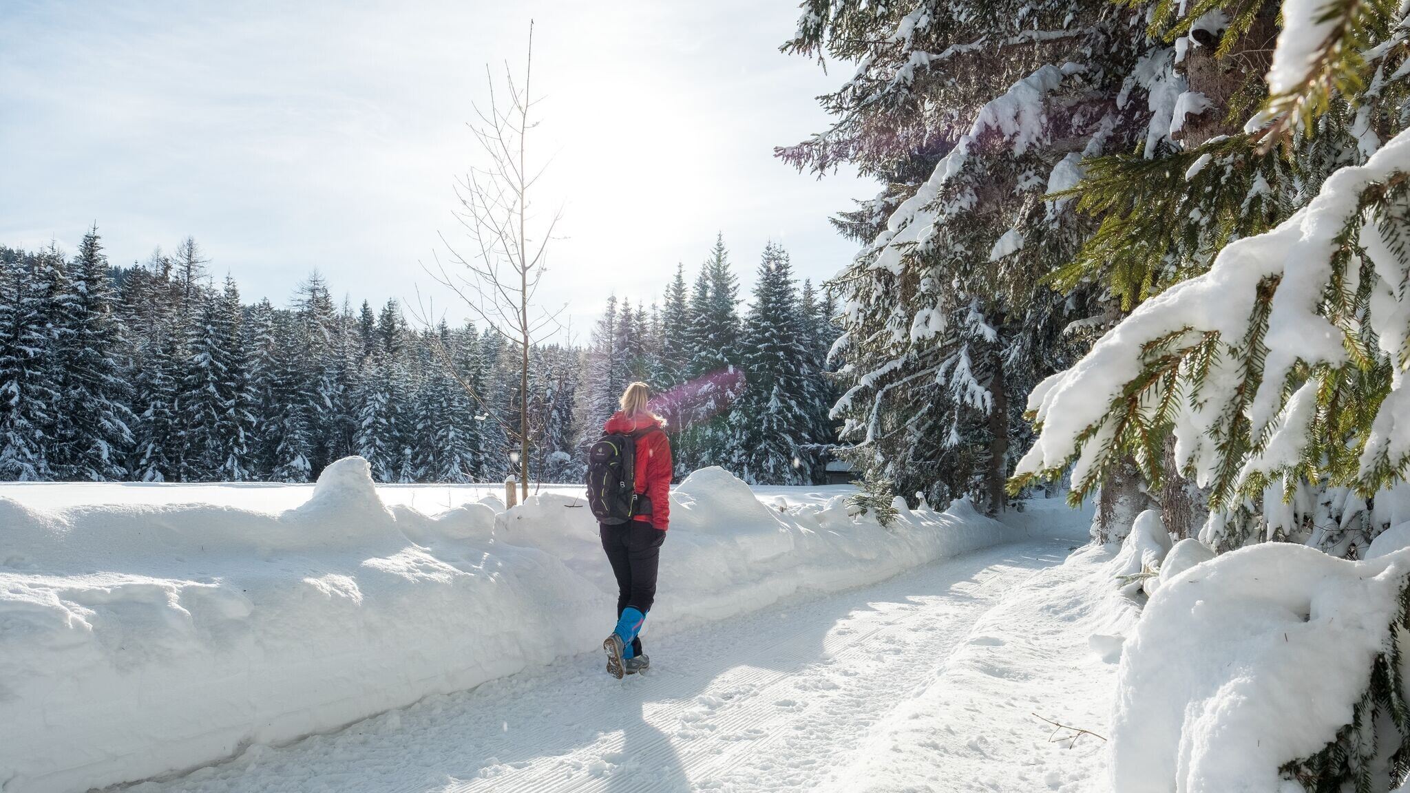 Etappe 2: Von Scharnitz nach Seefeld – Seefelder Hochplateau Winterweitwanderung